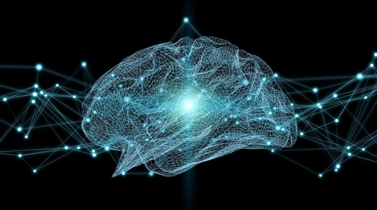 TBIs: Causes And Treatments - Human brain digital x-ray 3D rendering