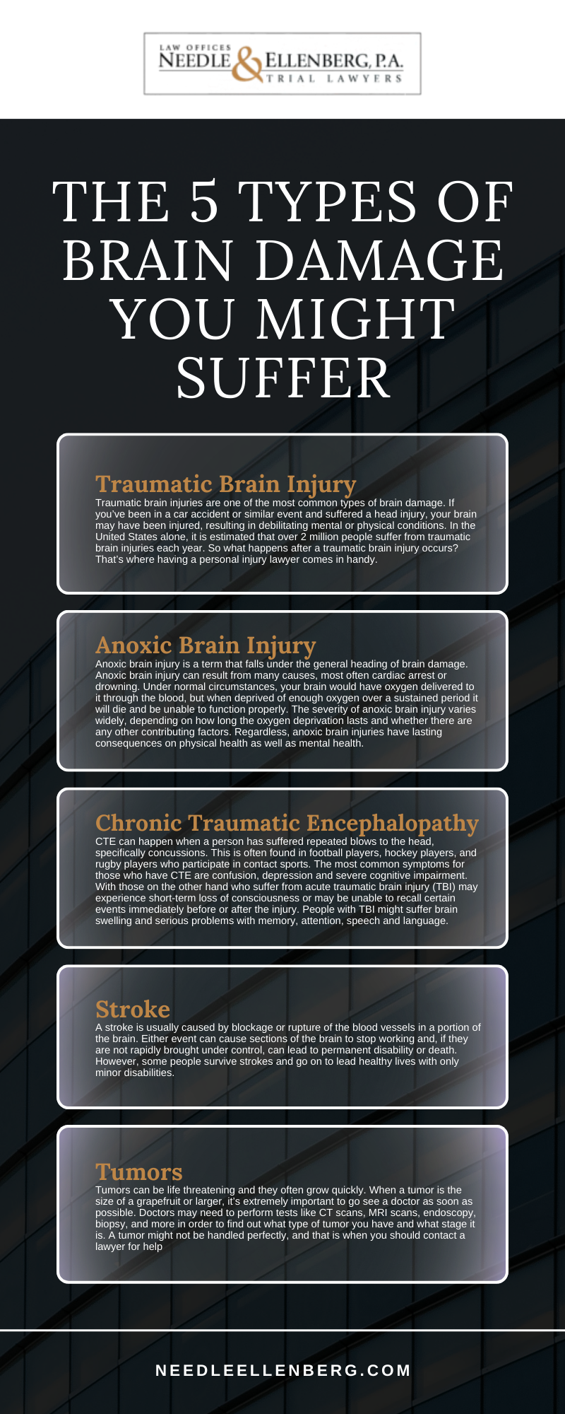 The 5 Types Of Brain Damage You Might Suffer Infographic